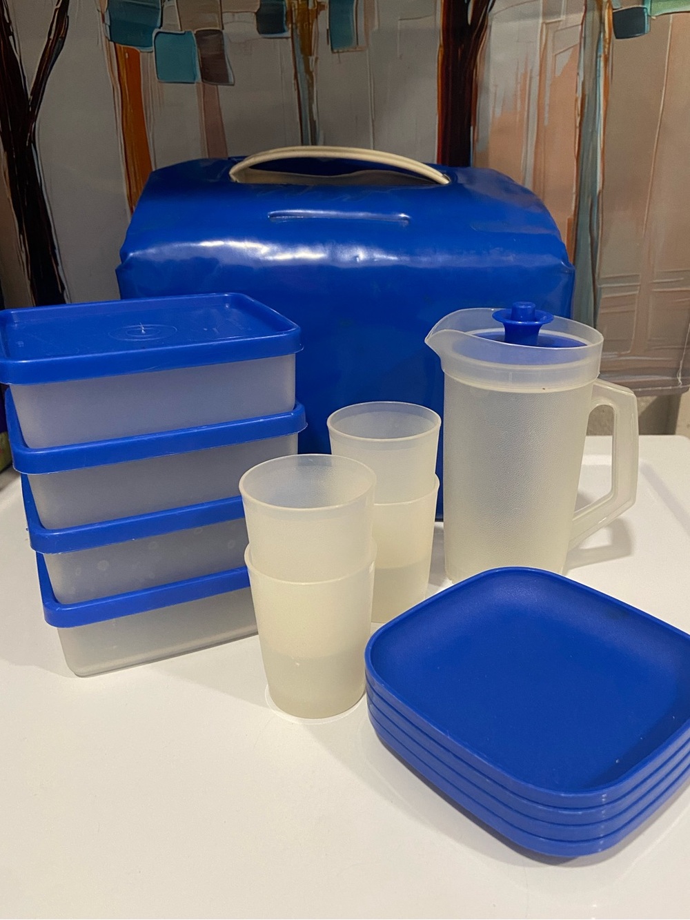 Tupperware Kid’s Picnic Pack